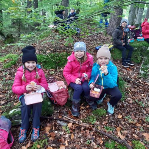 Holzbringung
