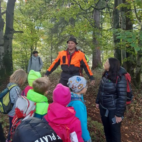Holzbringung