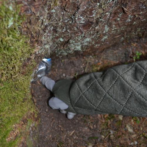 Sauber statt Saubär