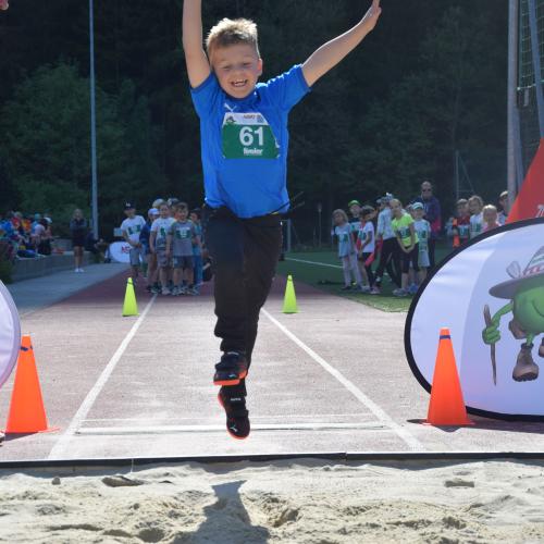 ASVÖ Sporttag am Kunstrasenplatz Mayrhofen