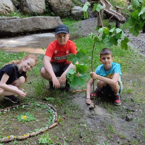 Naturmandalas im Wald
