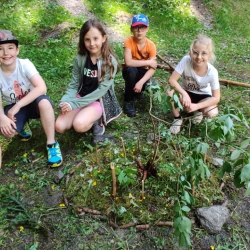 Naturmandalas im Wald