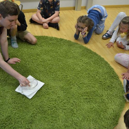 Klimabündnis