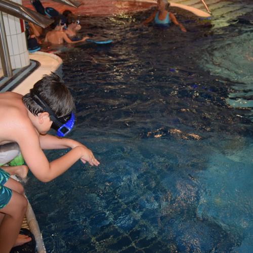 Schwimmtage der 1. und 2. Schulstufe