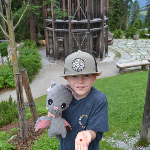 Wandertag Fichtenschloss