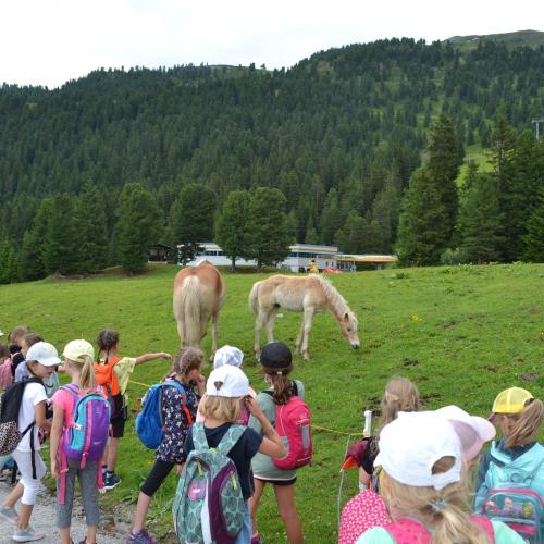 Wandertag Fichtenschloss