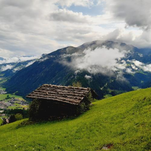 Wandertag Wiesenhof