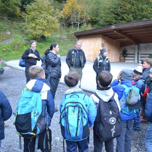 Aufforstung im Naturpark