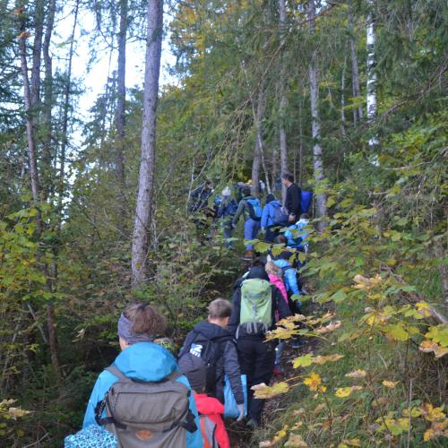 Aufforstung im Naturpark