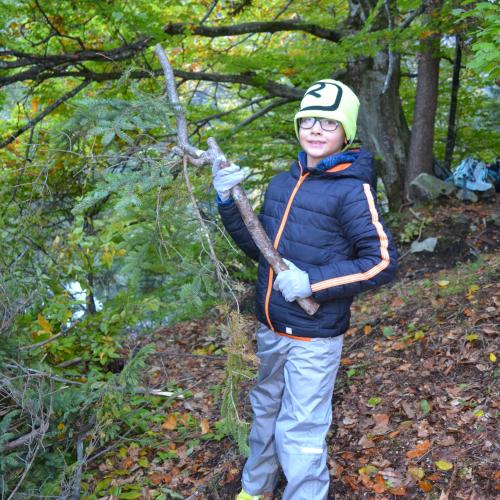 Aufforstung im Naturpark