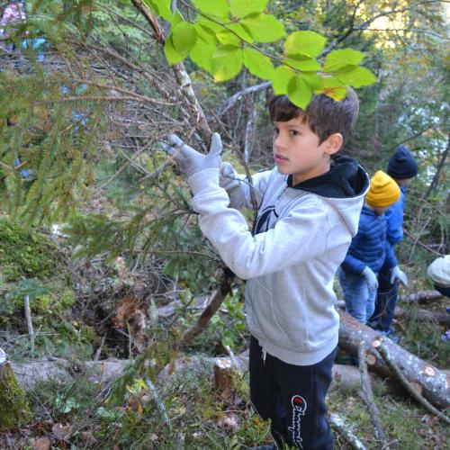 Aufforstung im Naturpark
