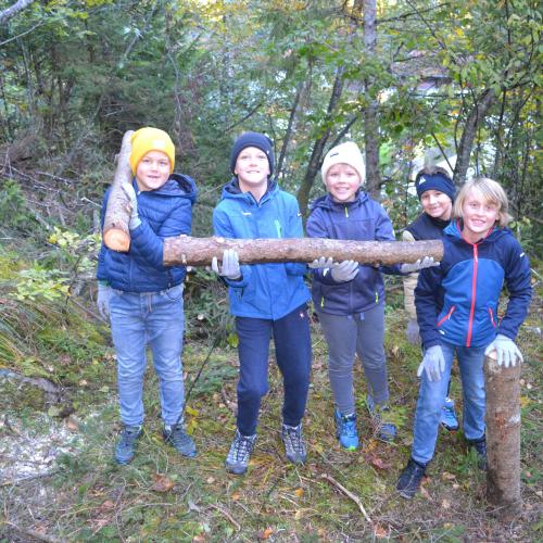 Aufforstung im Naturpark
