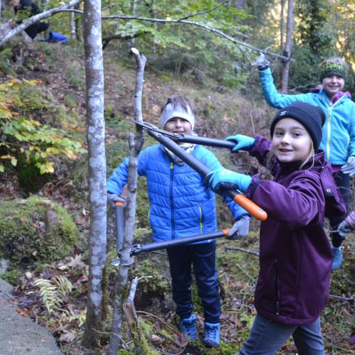 Aufforstung im Naturpark