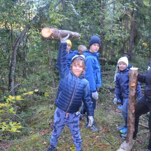 Aufforstung im Naturpark