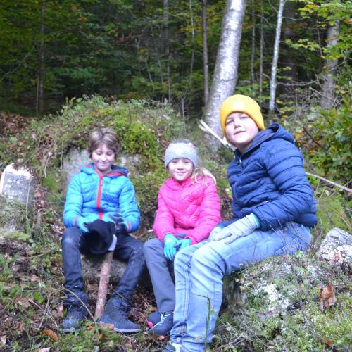 Aufforstung im Naturpark