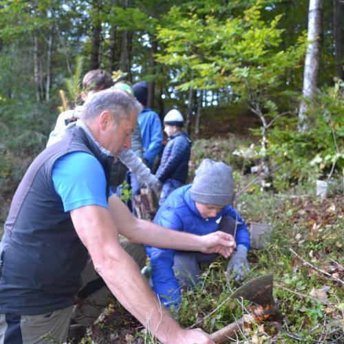 Aufforstung im Naturpark