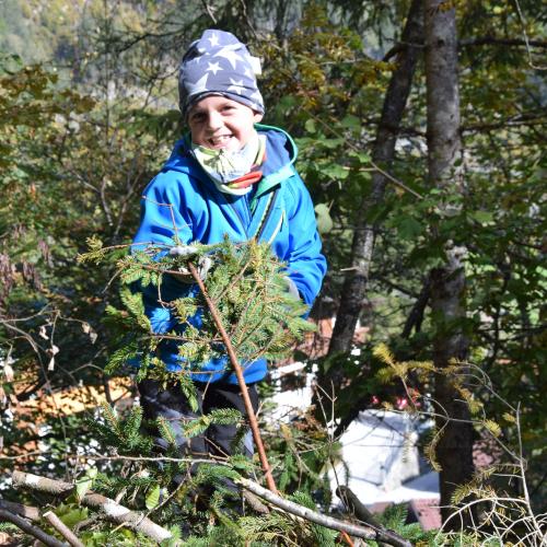 Aufforstung im Naturpark