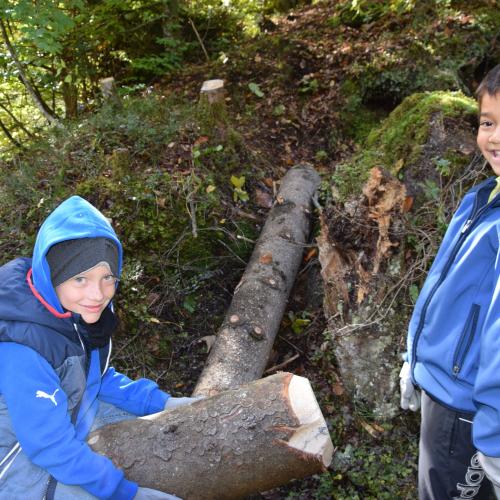 Aufforstung im Naturpark