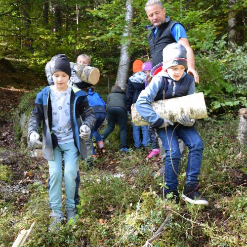 Aufforstung im Naturpark