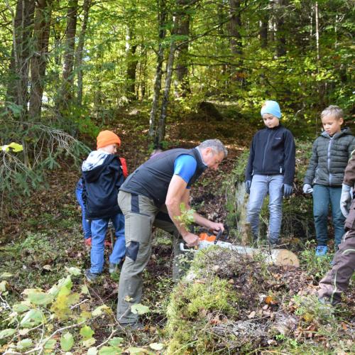 Aufforstung im Naturpark