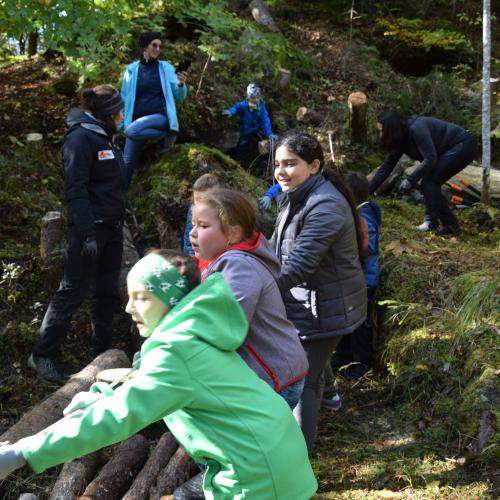 Aufforstung im Naturpark