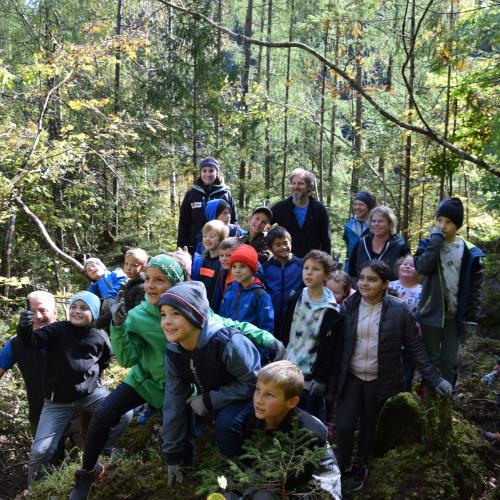 Aufforstung Naturpark