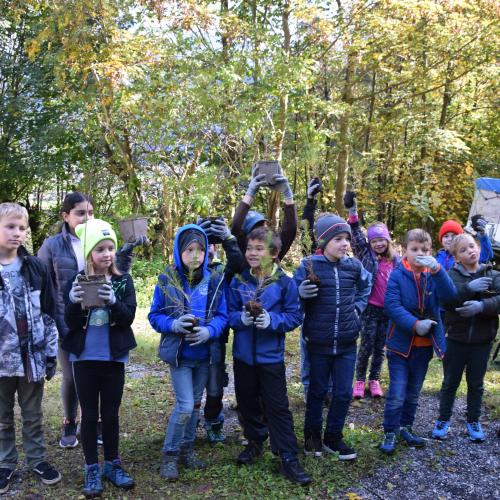 Aufforstung im Naturpark