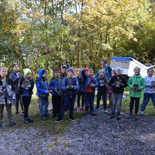 Aufforstung im Naturpark