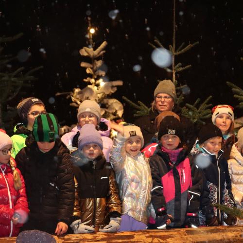 Adventsingen am Waldfestplatz