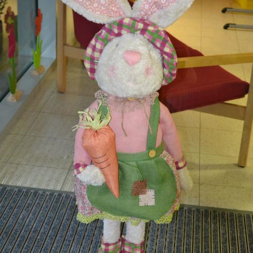 Osterhase zu Besuch