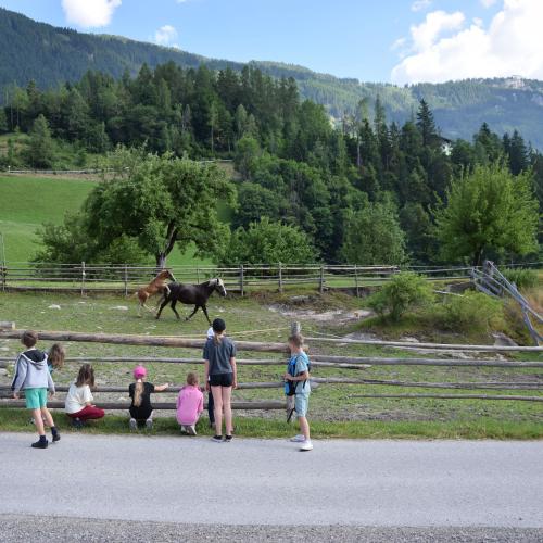 Ponyreiten in Finkenberg