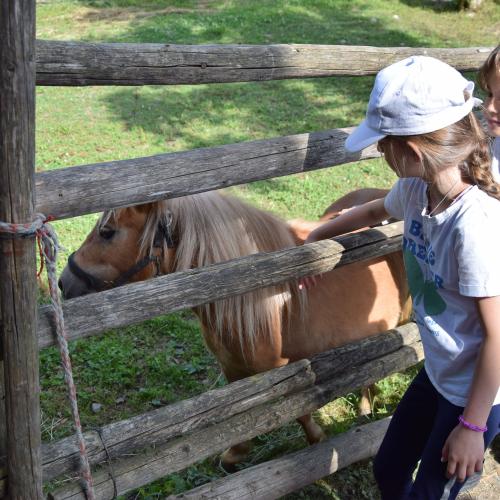 Ponyreiten in Finkenberg