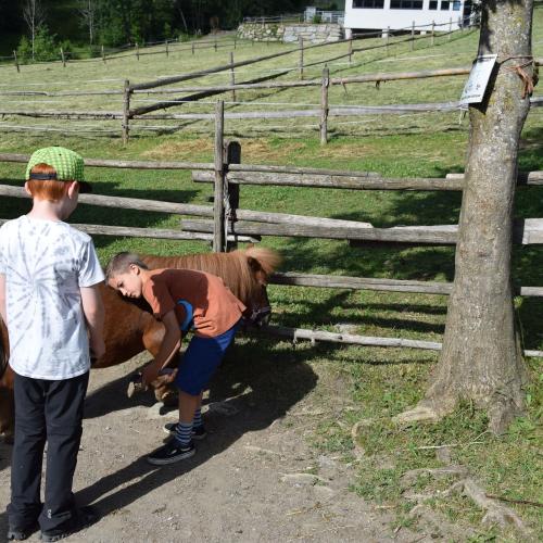 Ponyreiten in Finkenberg