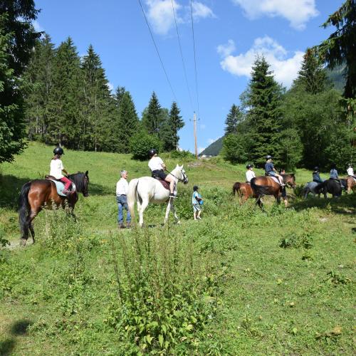 Ponyreiten in Finkenberg