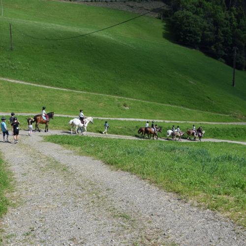 Ponyreiten in Finkenberg