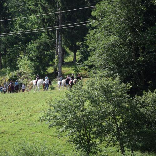 Ponyreiten in Finkenberg
