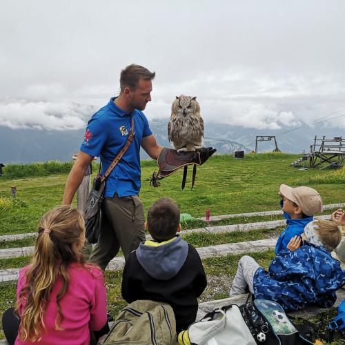 Wandertag Ahorn