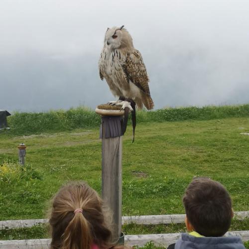 Wandertag Ahorn
