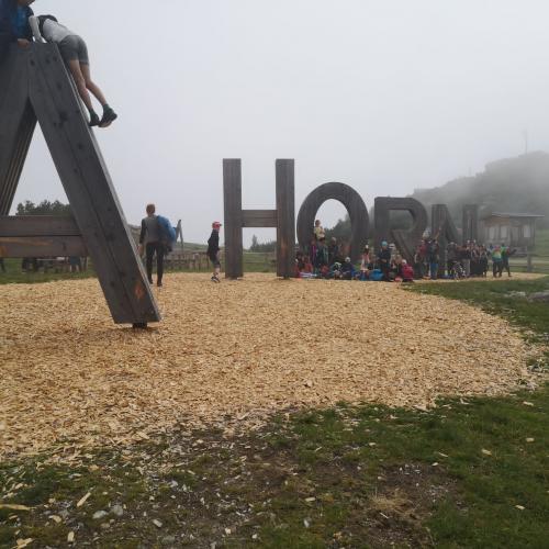 Wandertag Ahorn