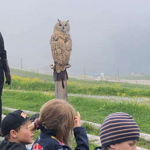 Wandertag Ahorn