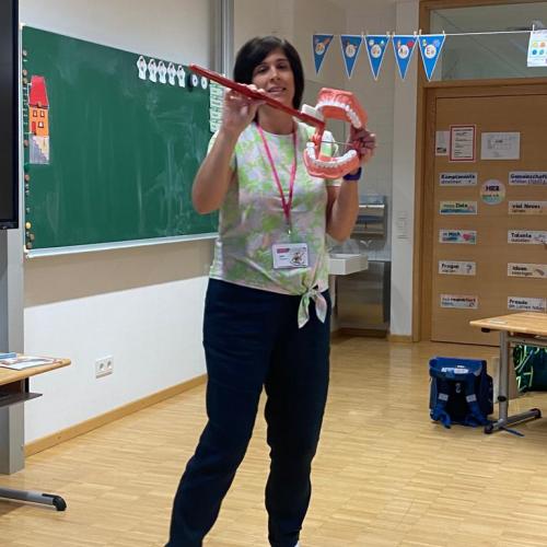 AVOMED Zahnprophylaxe