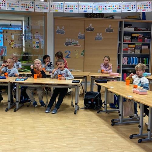 AVOMED Zahnprophylaxe