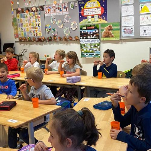 AVOMED Zahnprophylaxe