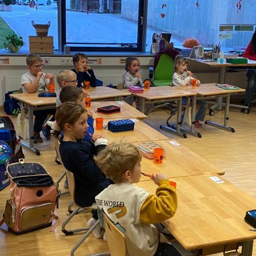 AVOMED Zahnprophylaxe