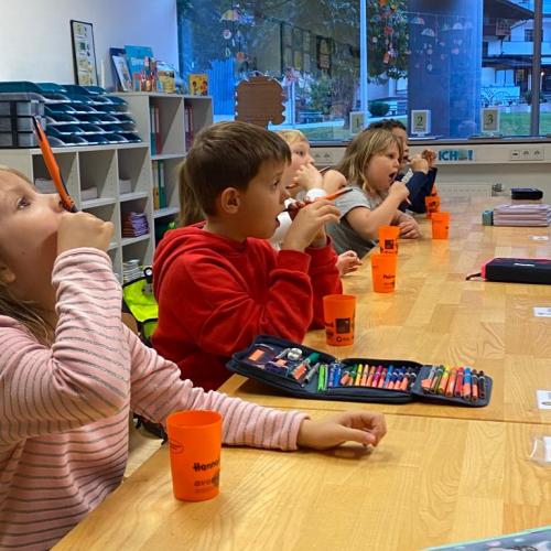 AVOMED Zahnprophylaxe