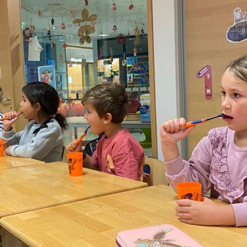 AVOMED Zahnprophylaxe