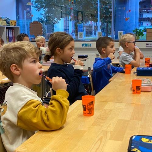 AVOMED Zahnprophylaxe