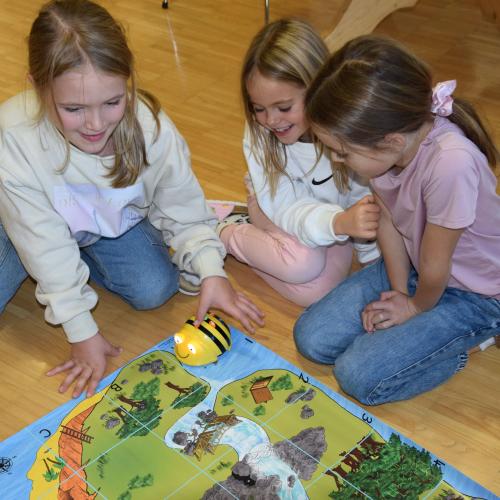 Beebots