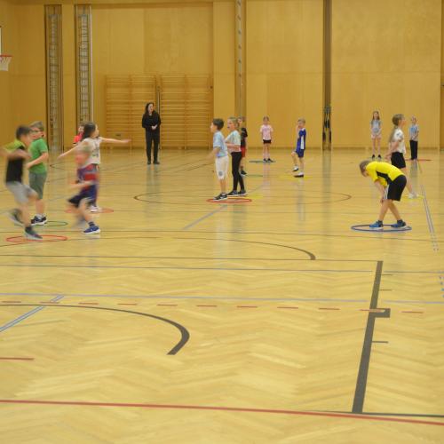 2. Projekttag - 1. und 2. Schulstufe