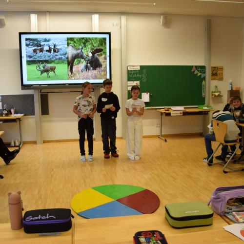 Referat-Coaching